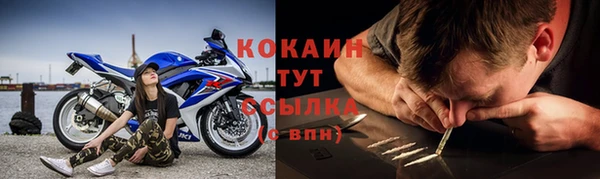 прущий лед Алзамай