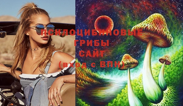 соль ск Алексин
