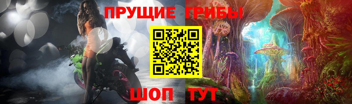 Псилоцибиновые грибы GOLDEN TEACHER Красноуфимск